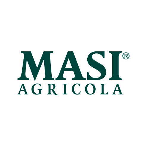 Masi