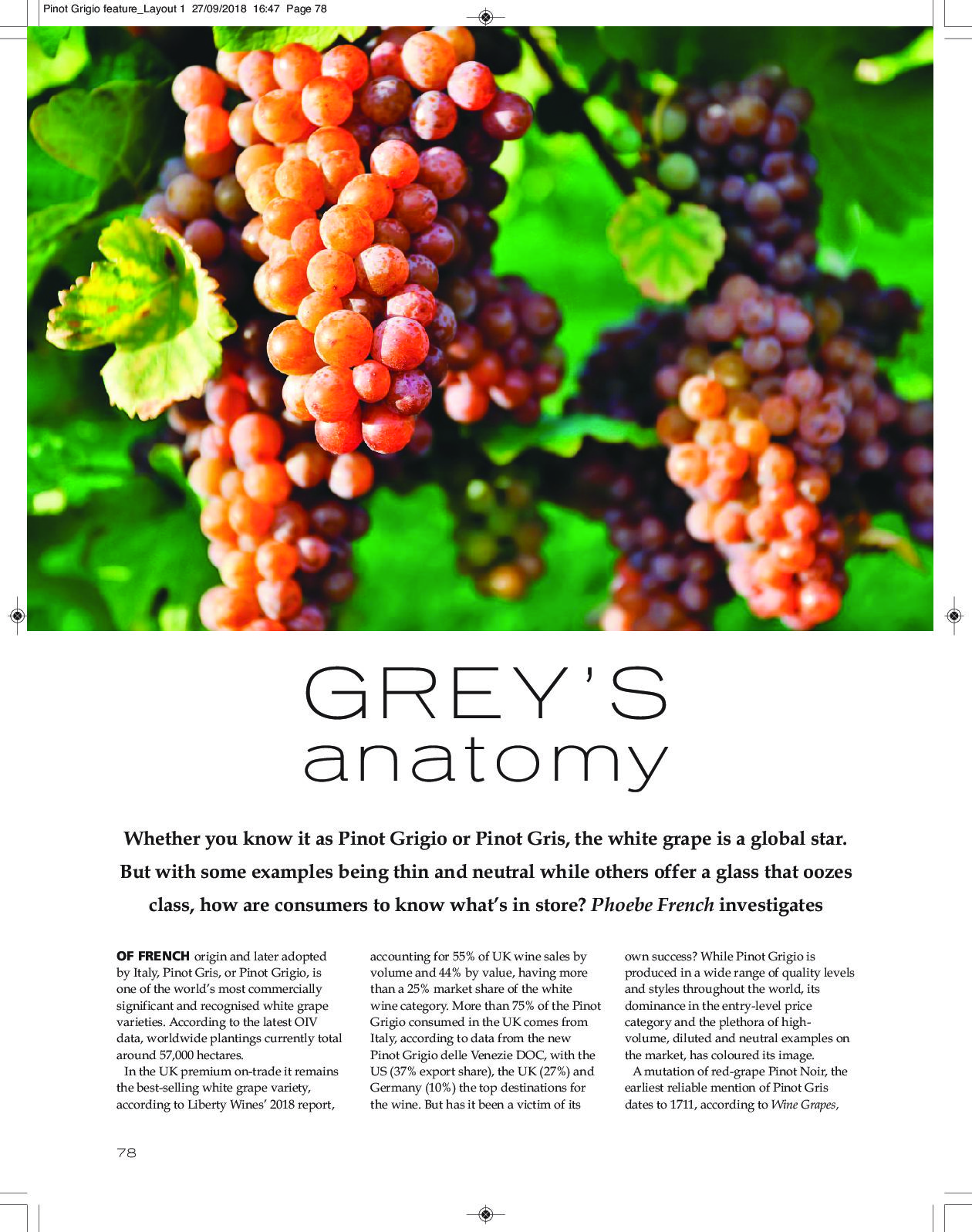 27 settembre 2018 – Grey’s Anatomy – the drinksbusiness