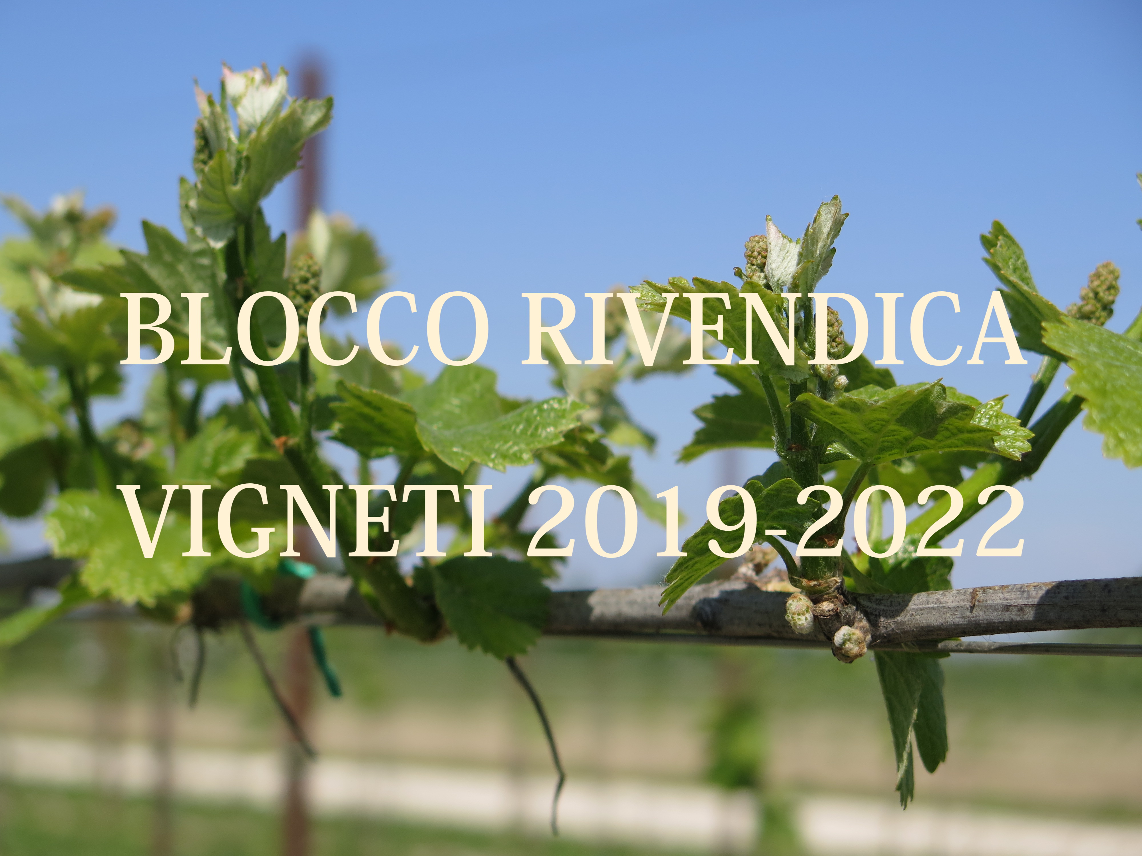 delibere sospensione rivendica per il triennio 2019-2022