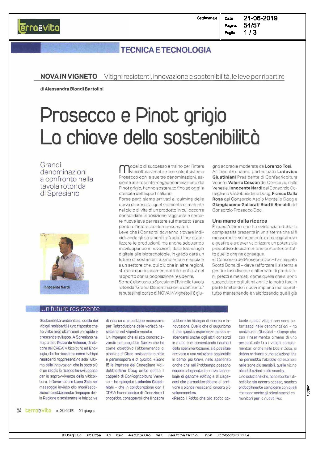 1 agosto 2019 – Terra e Vita, Prosecco e Pinot grigio, la chiave della Sostenibilità