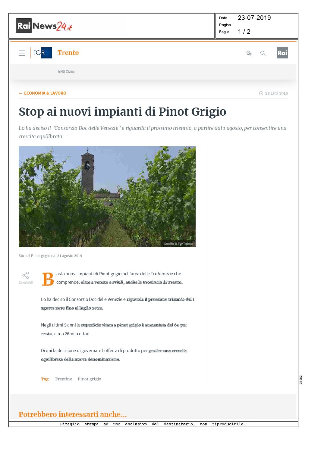 1 agosto 2019 – Rainews 24, Stop a nuovi vigneti di Pinot grigio