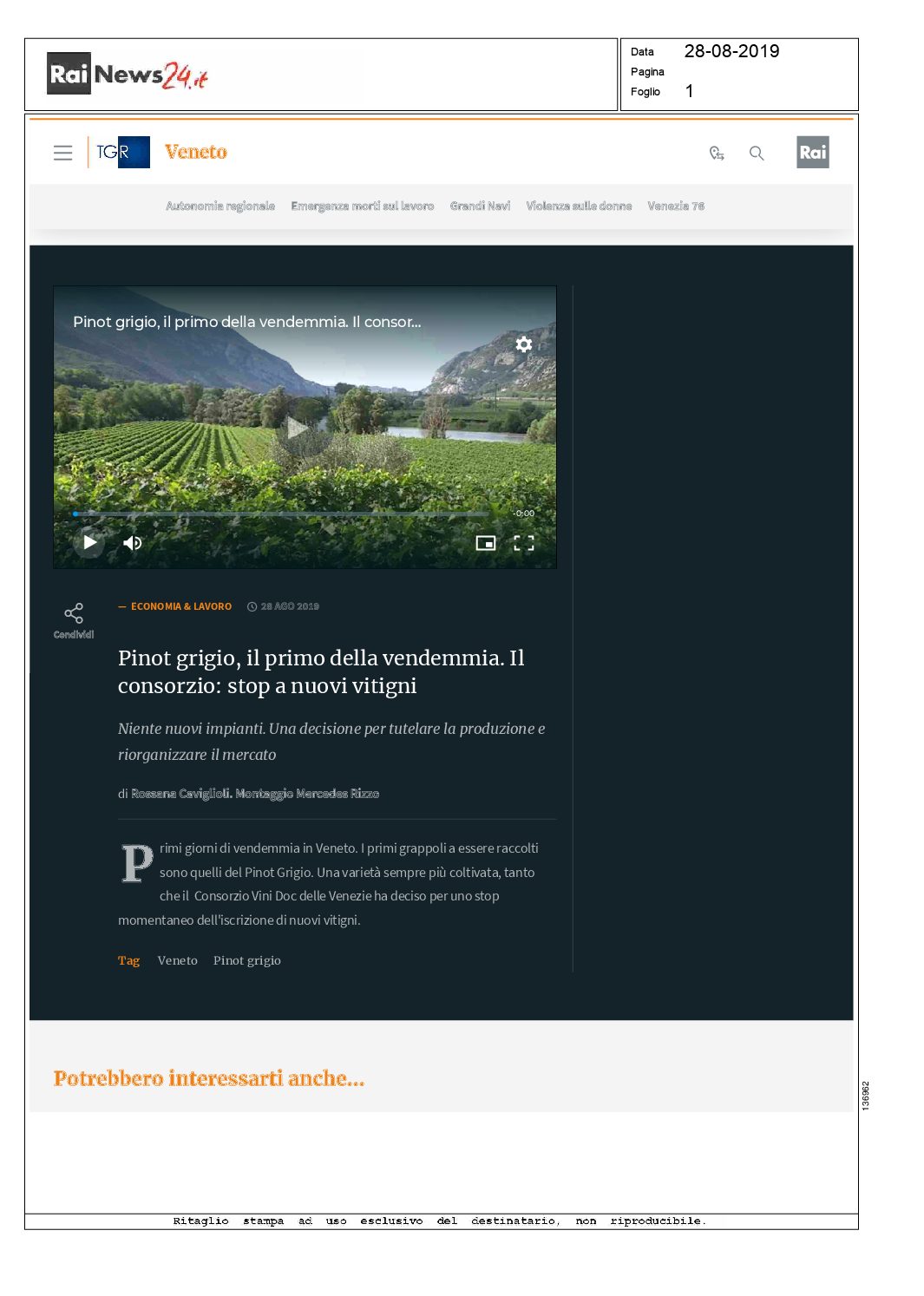 19 agosto 2019 – Rainews 24, Pinot grigio, il primo della vendemmia. Il consorzio: stop a nuovi vitigni