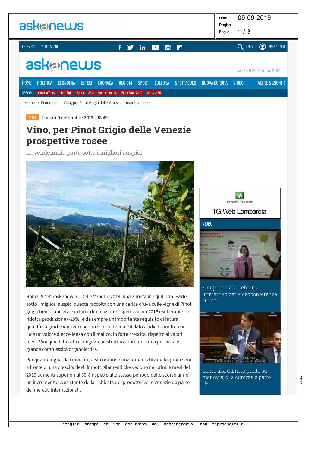 19 agosto 2019 – Askanews, Vino, per il Pinot grigio delle Venezie prospettive rosee