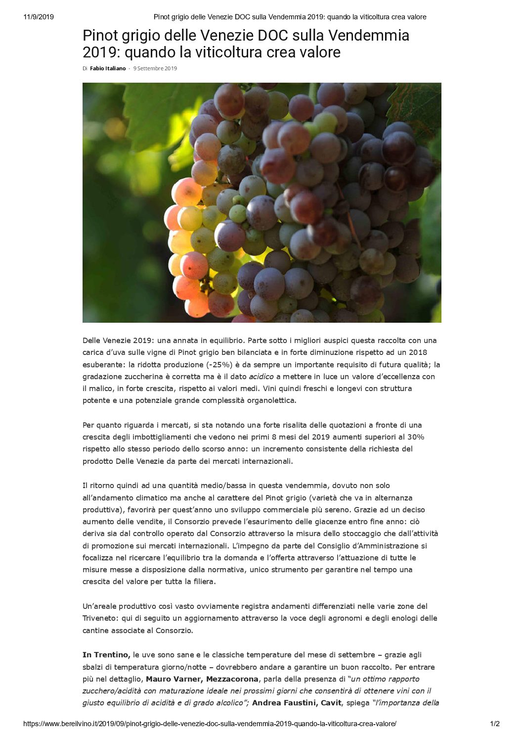 19 settembre 2019 – Bere il Vino, Pinot grigio delle Venezie DOC sulla Vendemmia 2019: quando la viticoltura crea valore