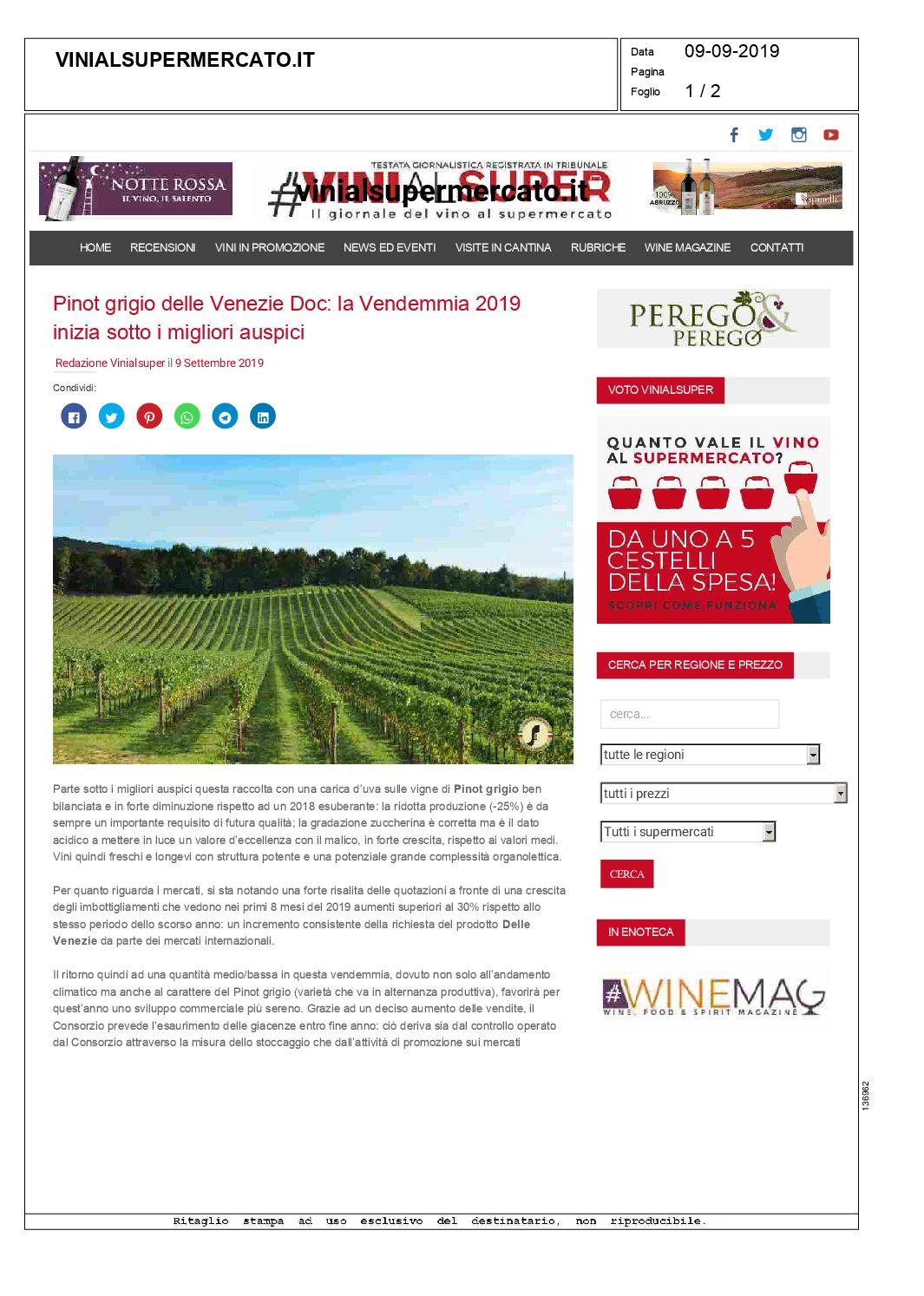 19 settembre 2019 – Vini al Supermercato, Pinot grigio delle Venezie Doc: la Vendemmia 2019 inizia sotto i migliori auspici