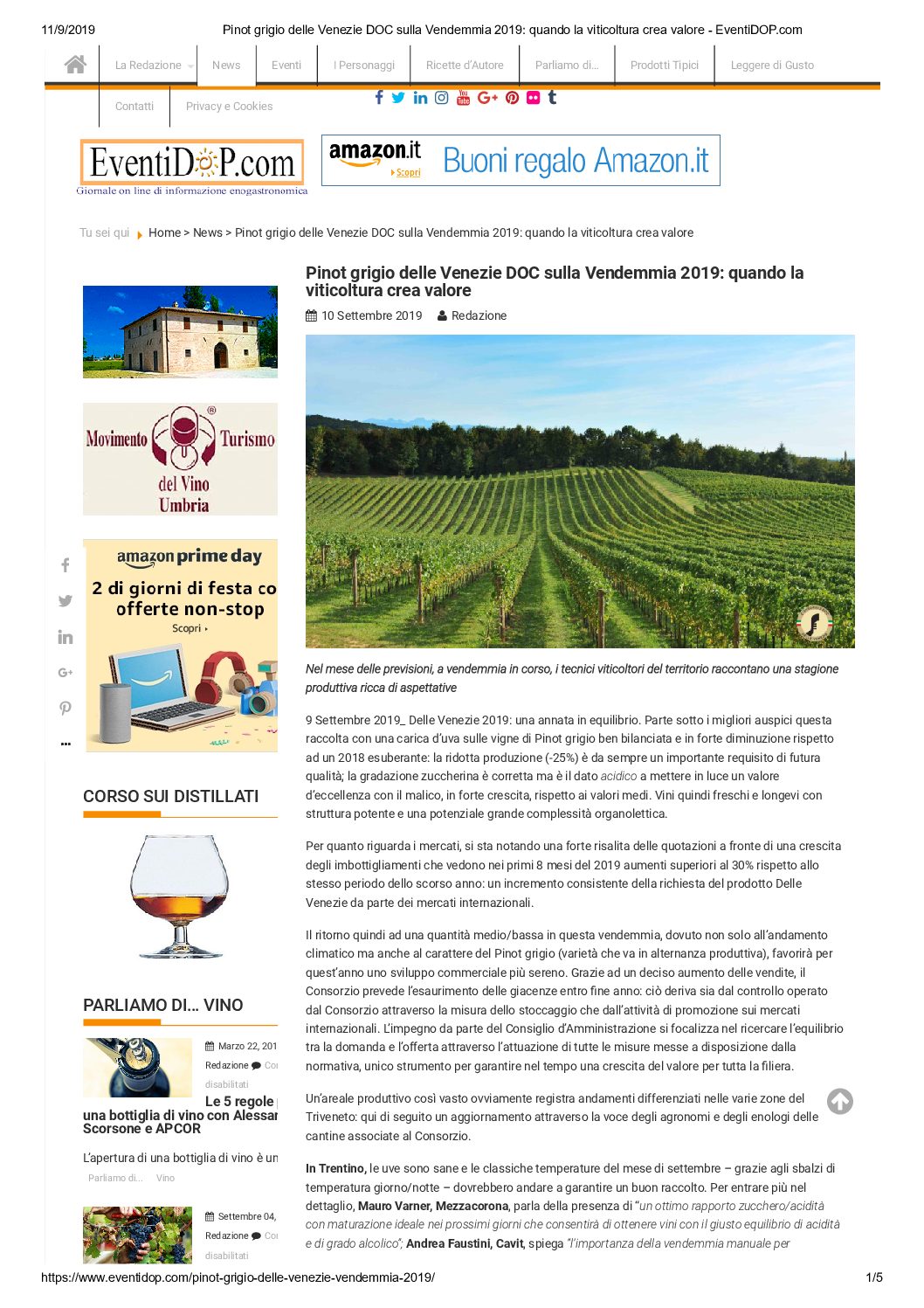 19 settembre 2019 – Eventidop, Pinot grigio delle Venezie DOC sulla Vendemmia 2019: quando la viticoltura crea valore