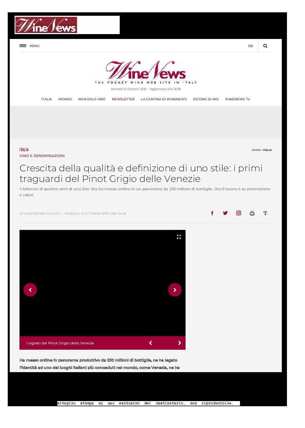 19 ottobre 2019 – Winenews, Crescita della qualità e definizione di uno stile: i primi traguardi del Pinot Grigio delle Venezie