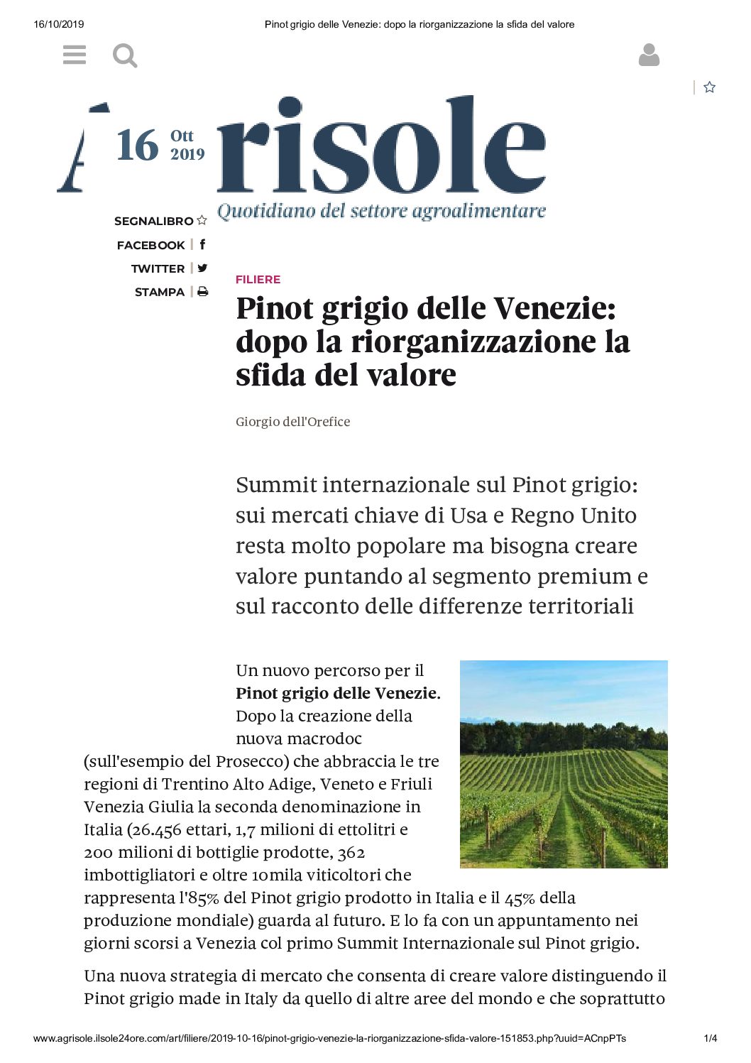 19 ottobre 2019 – Agrisole, Pinot grigio delle Venezie: dopo la riorganizzazione la sfida del valore