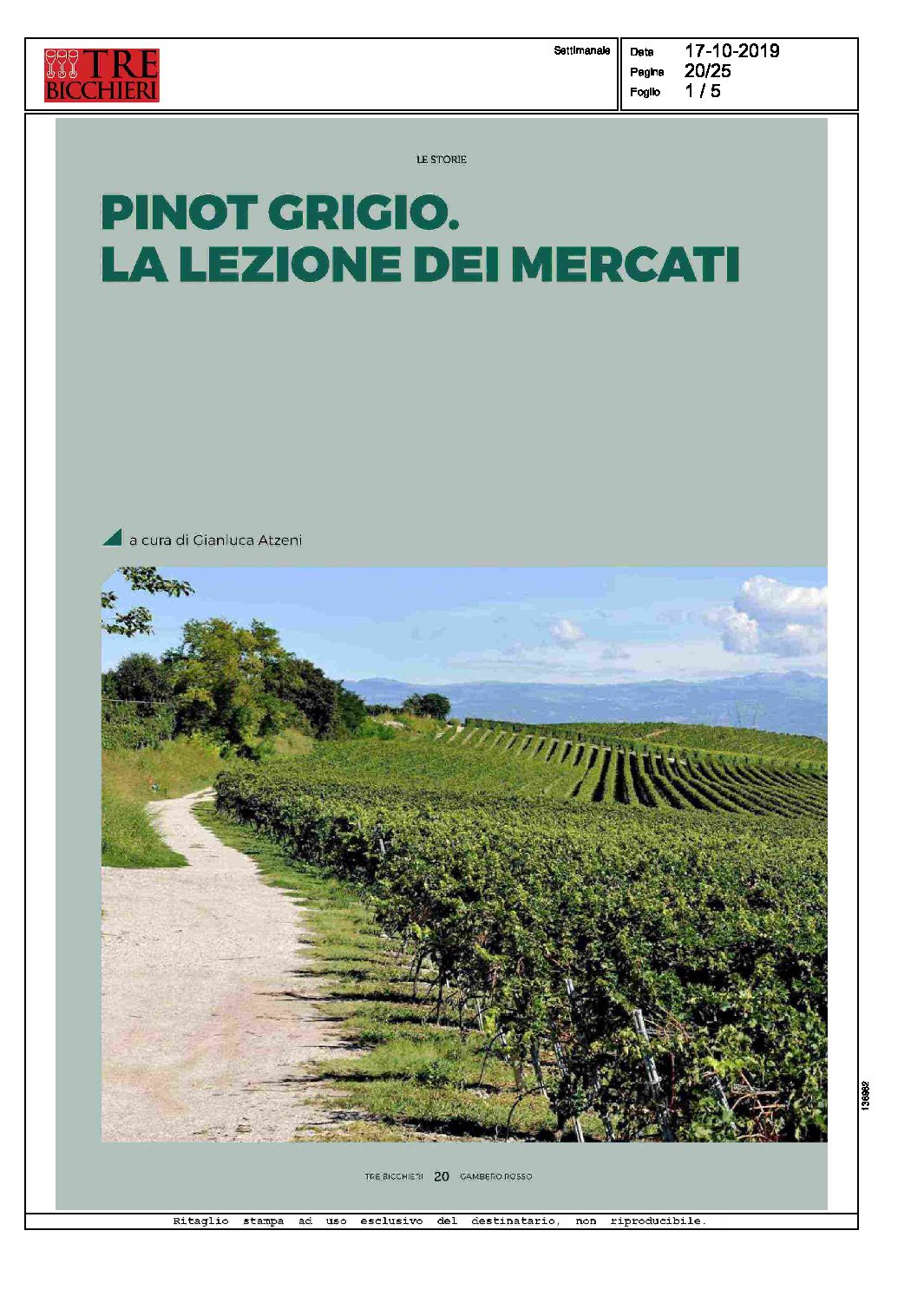 19 ottobre 2019 – Trebicchieri, Pinot grigio, la lezione dei mercati