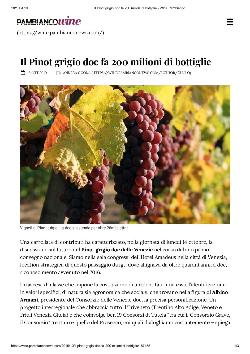 19 ottobre 2019 – Winepeople, ora il Pinot grigio deve parlare anche italiano