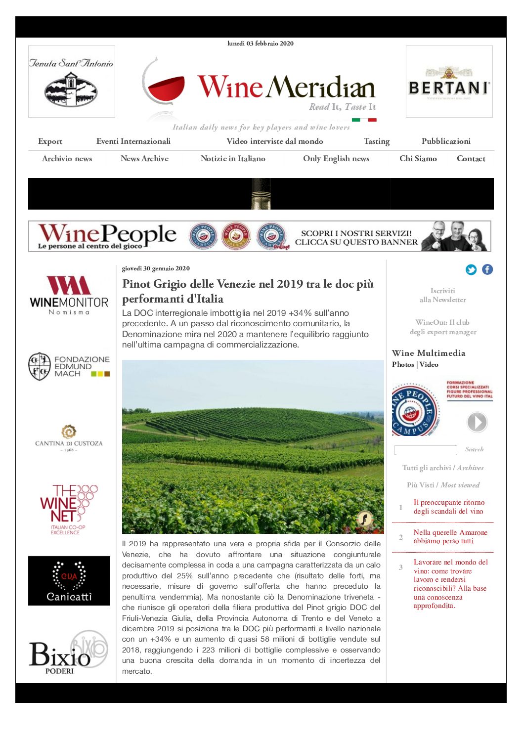 20 gennaio 2020 – Winepeople, Pinot grigio delle Venezie nel 2019 tra le DOC più performanti di Italia