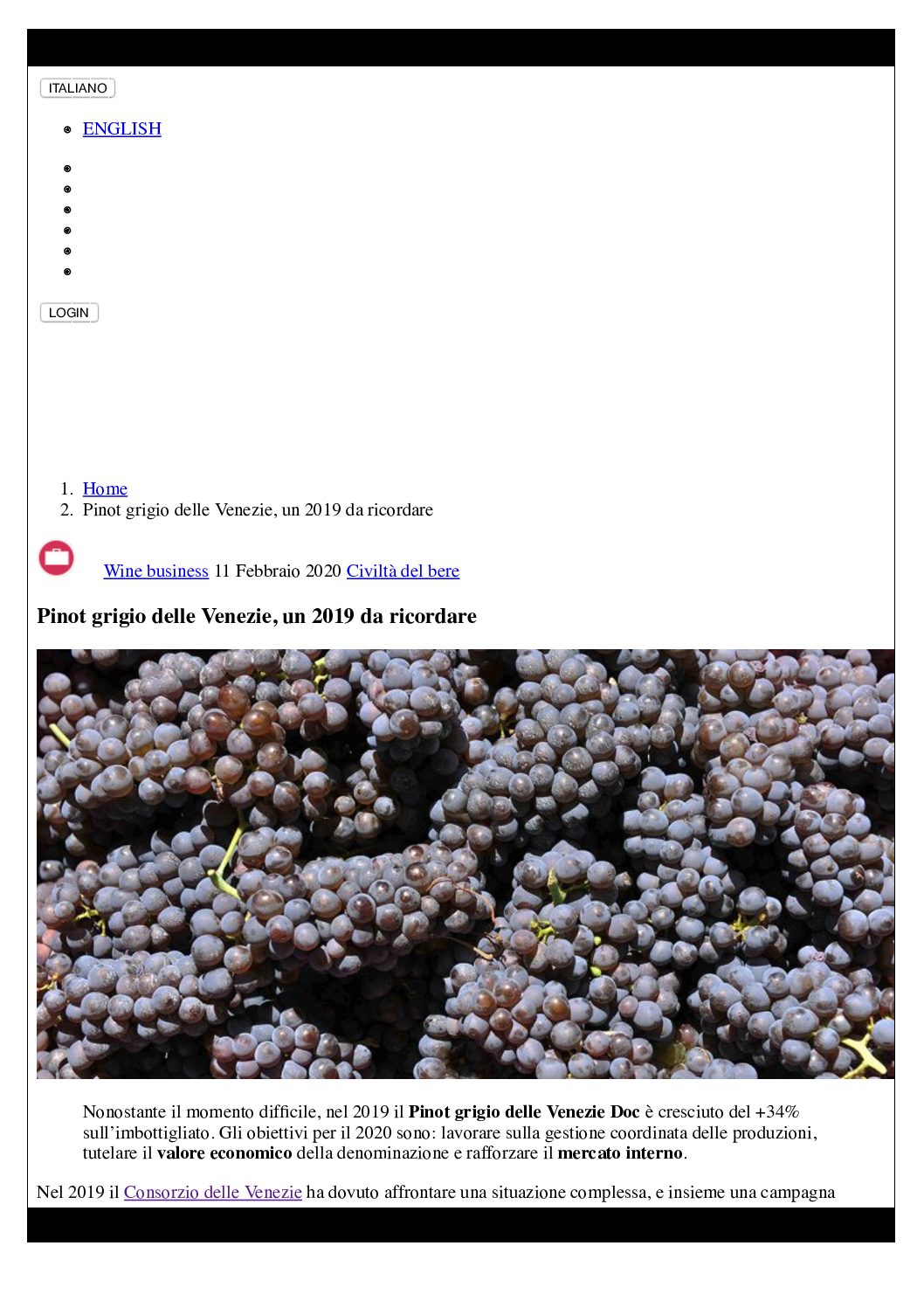 11 febbraio 2020 – Civiltà del Bere, Pinot grigio delle Venezie, un 2019 da ricordare