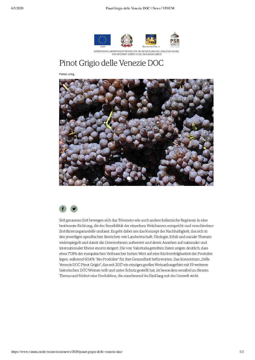 6 maggio 2020 – Pinot Grigio delle Venezie DOC