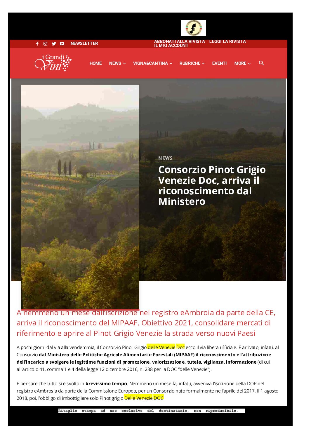 20 agosto 2020 – i grandi vini, Consorzio Pinot grigio delle Venezie DOC, arriva il riconoscimento del Ministero