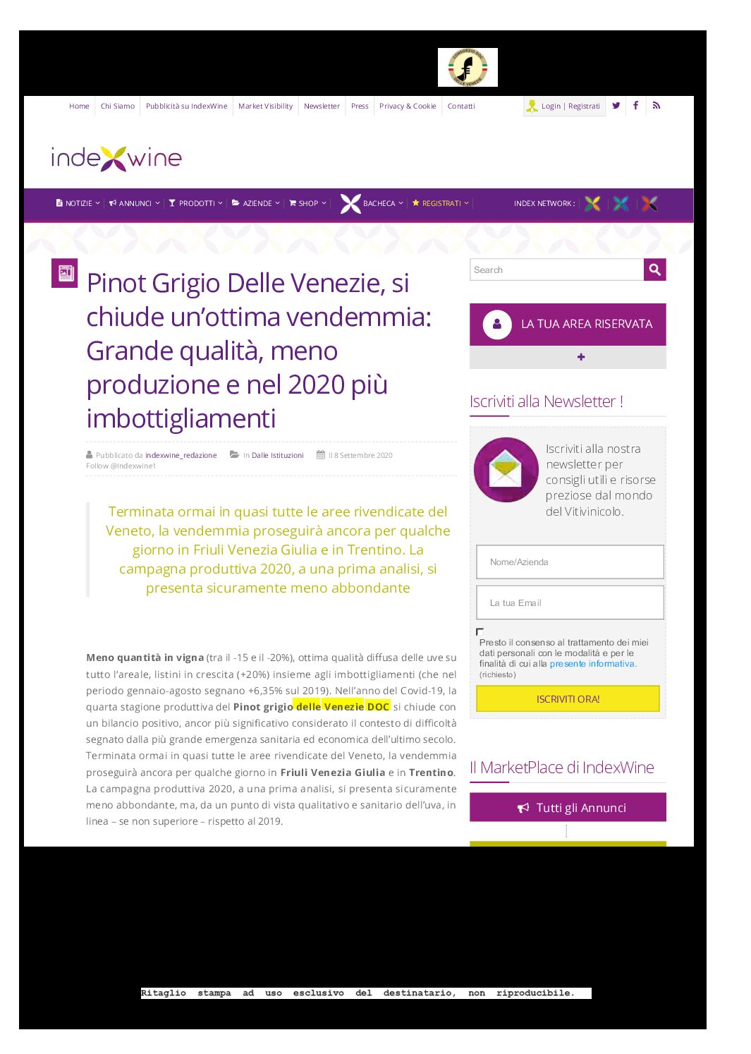 9 settembre 2020 – Indexwine, Pinot grigio delle Venezie si chiude una ottima vendemmia