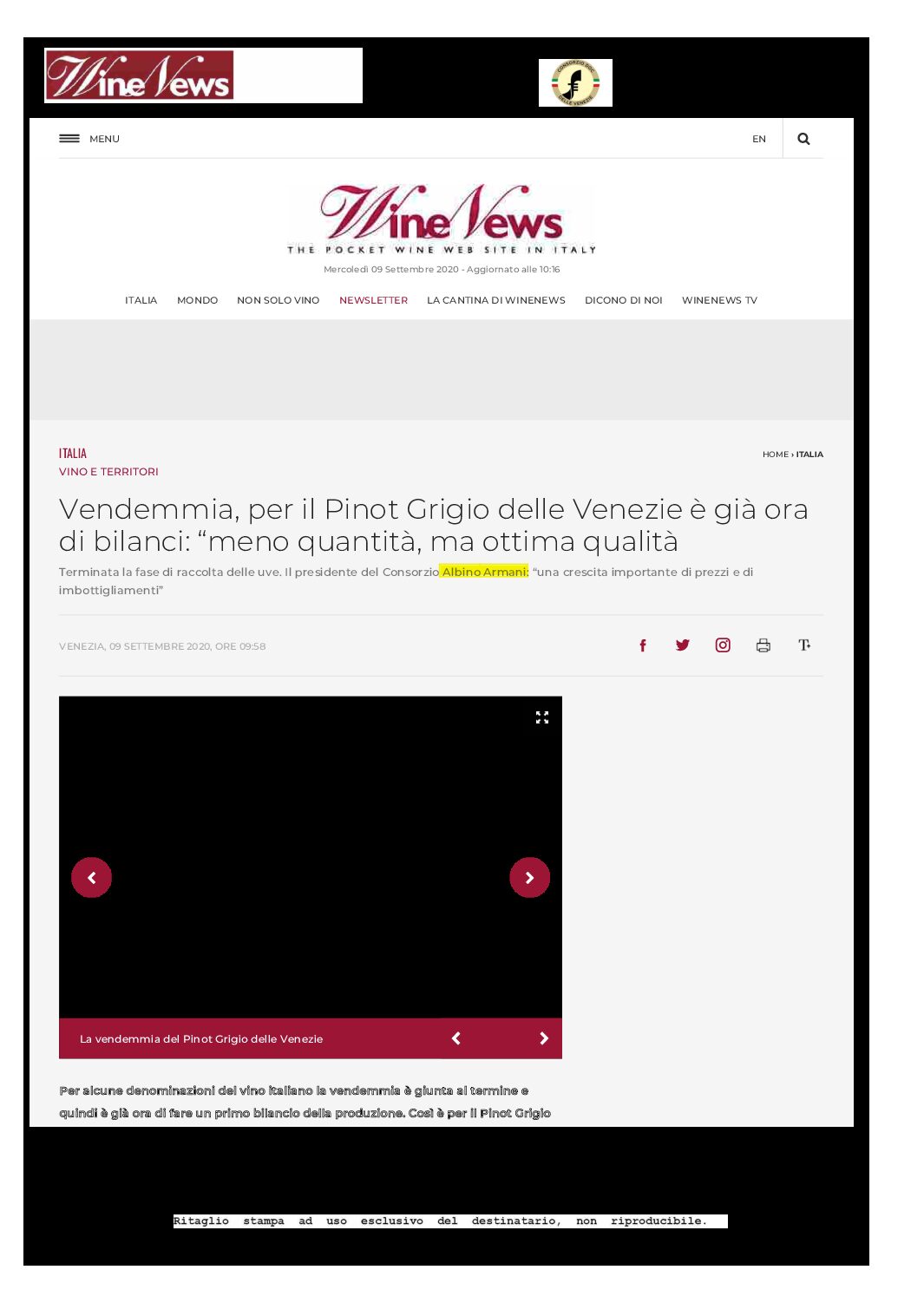 9 settembre 2020 – winenews, vendemmia per il pinot grigio delle venezie è già ora di bilanci: meno quantità ma ottimaq ualità