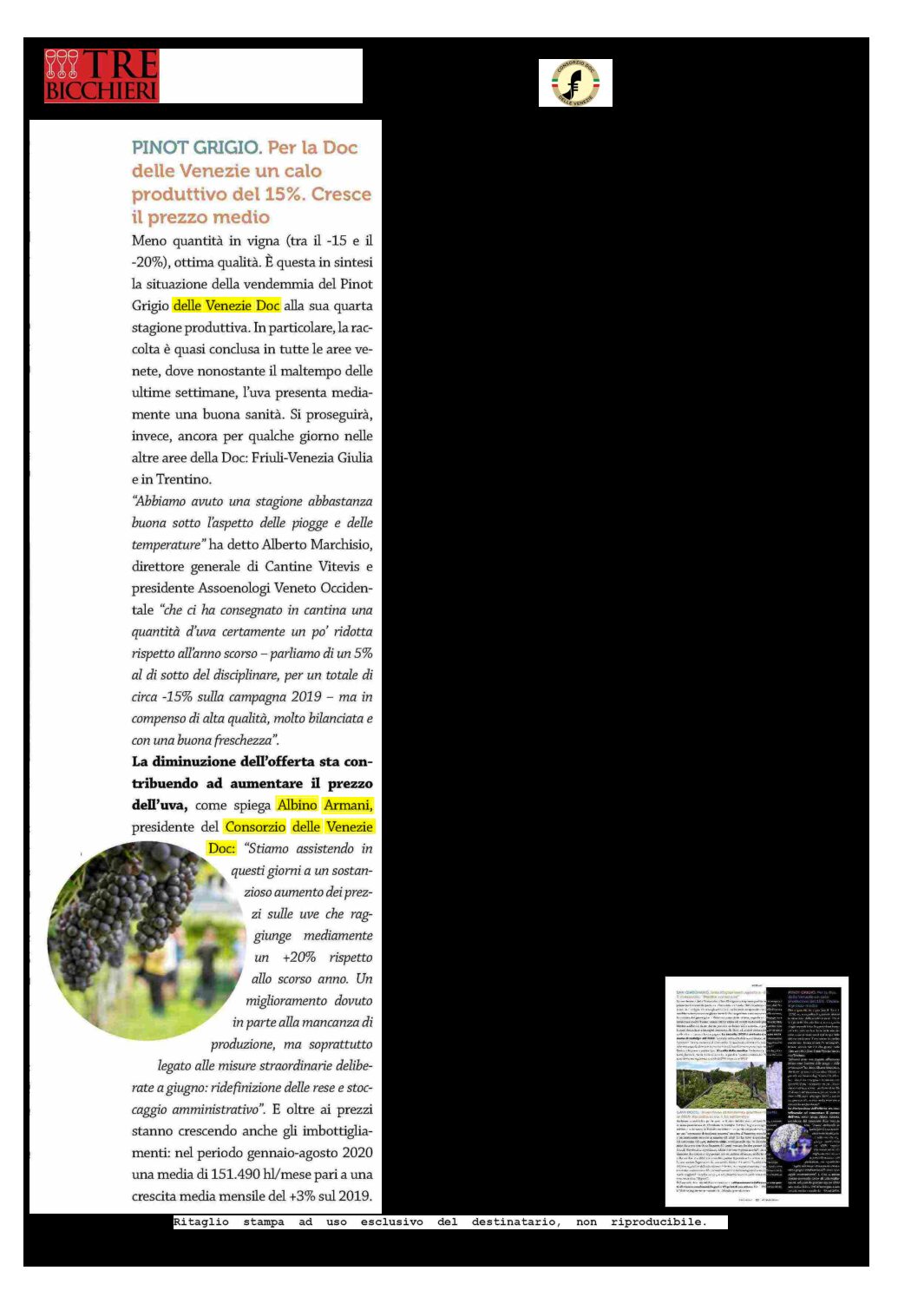10 settembre 2020 –  Trebicchieri, per la DOC delle venezie un calo produttivo del 15%. cresce il prezzo medio