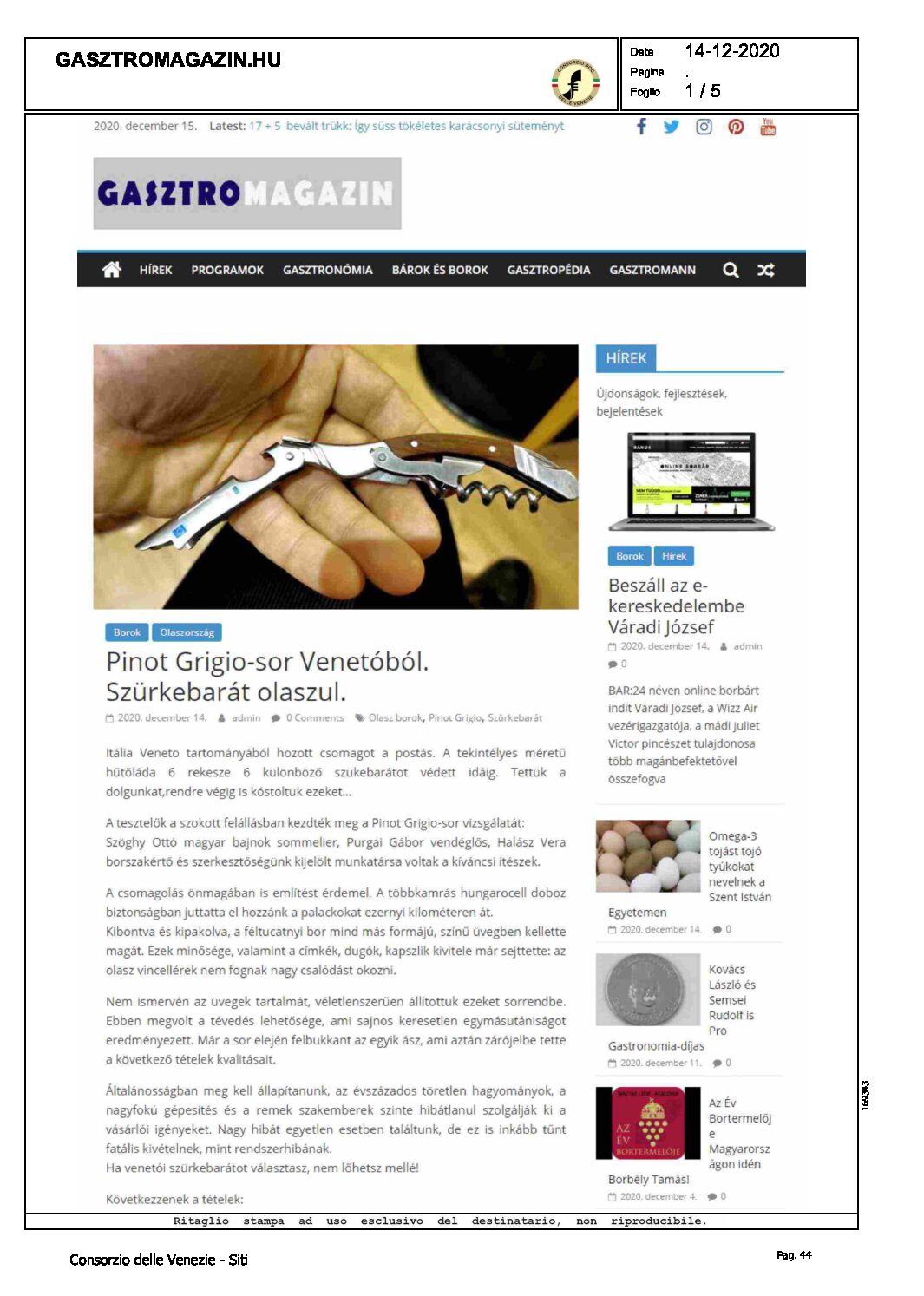 14 dicembre 2020 – Pinot grigio-sor Venetòbòl.