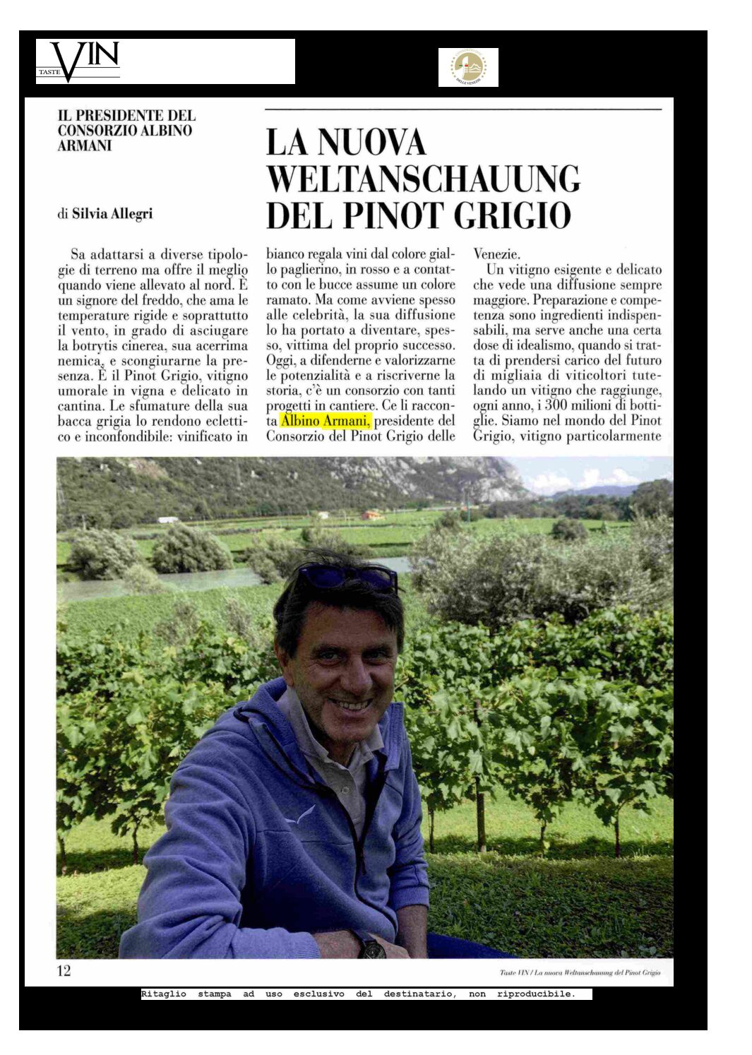 1 luglio 2021 – tastevin, LA NUOVA WELTANSCHAUUNG DEL PINOT GRIGIO