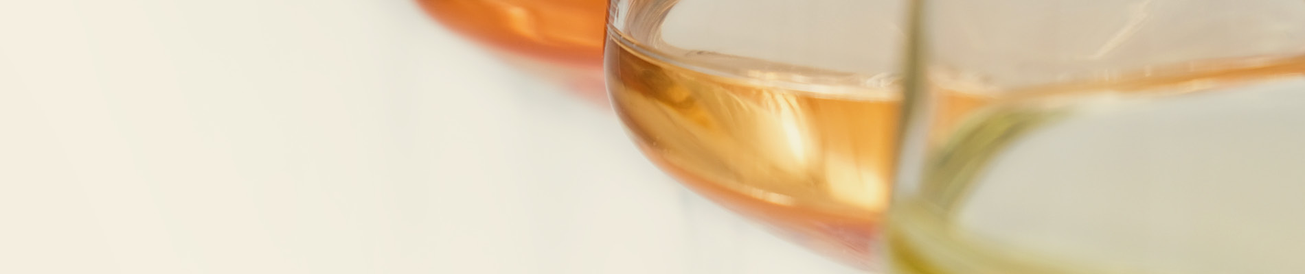 IL CONSORZIO DOC DELLE VENEZIE PRESENTE NELL’AREA HOSPITALITY DEI CAMPIONATI EUROPEI DI ATLETICA LEGGERA ROMA 2024