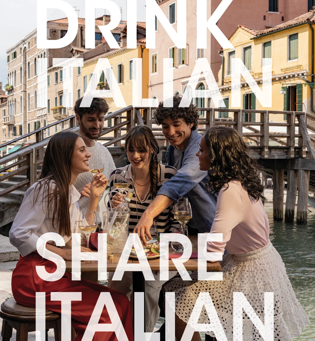 Pinot grigio DOC delle Venezie - foto adv Venezia - mobile