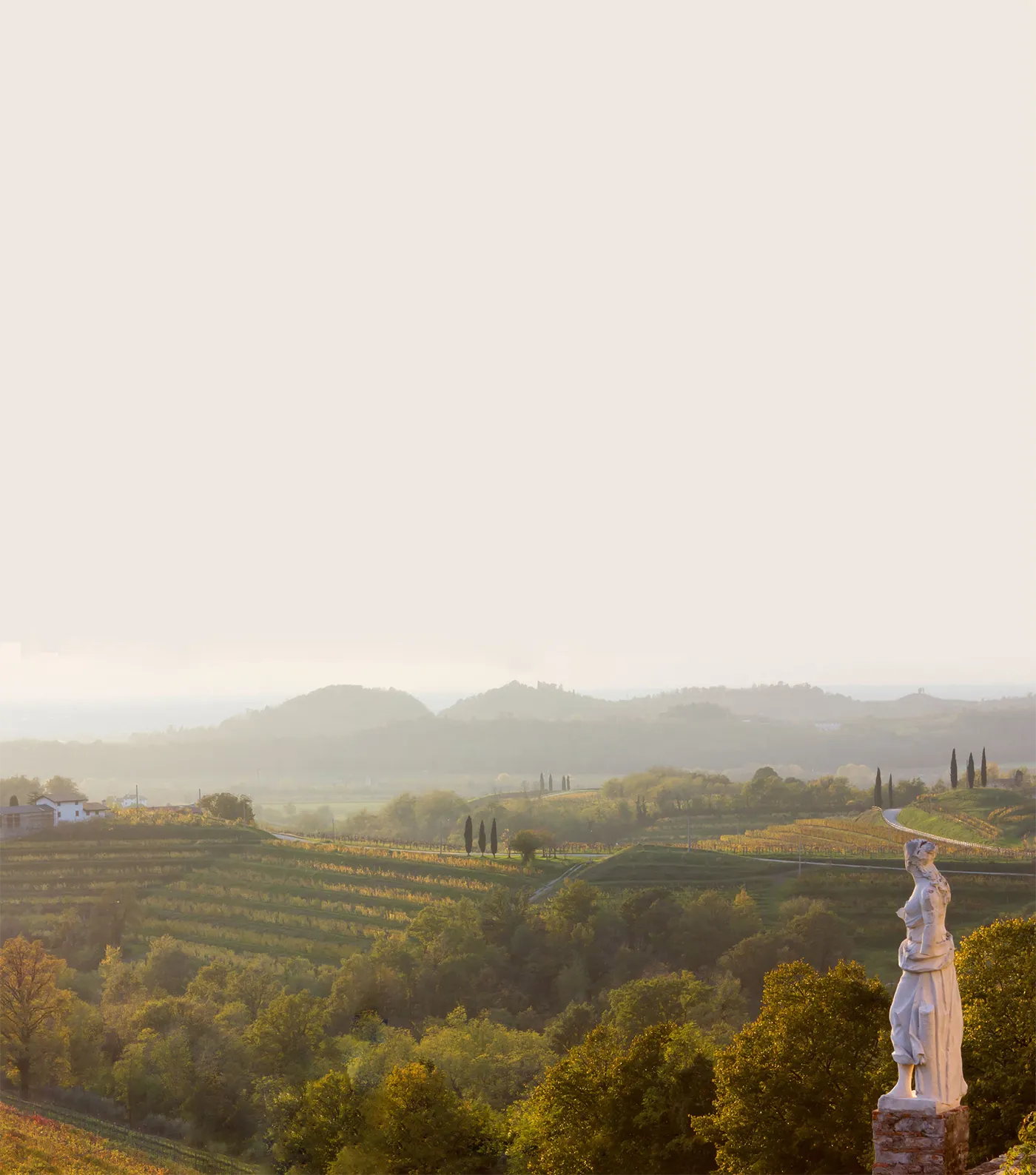 Il territorio - Pinot grigio DOC delle Venezie