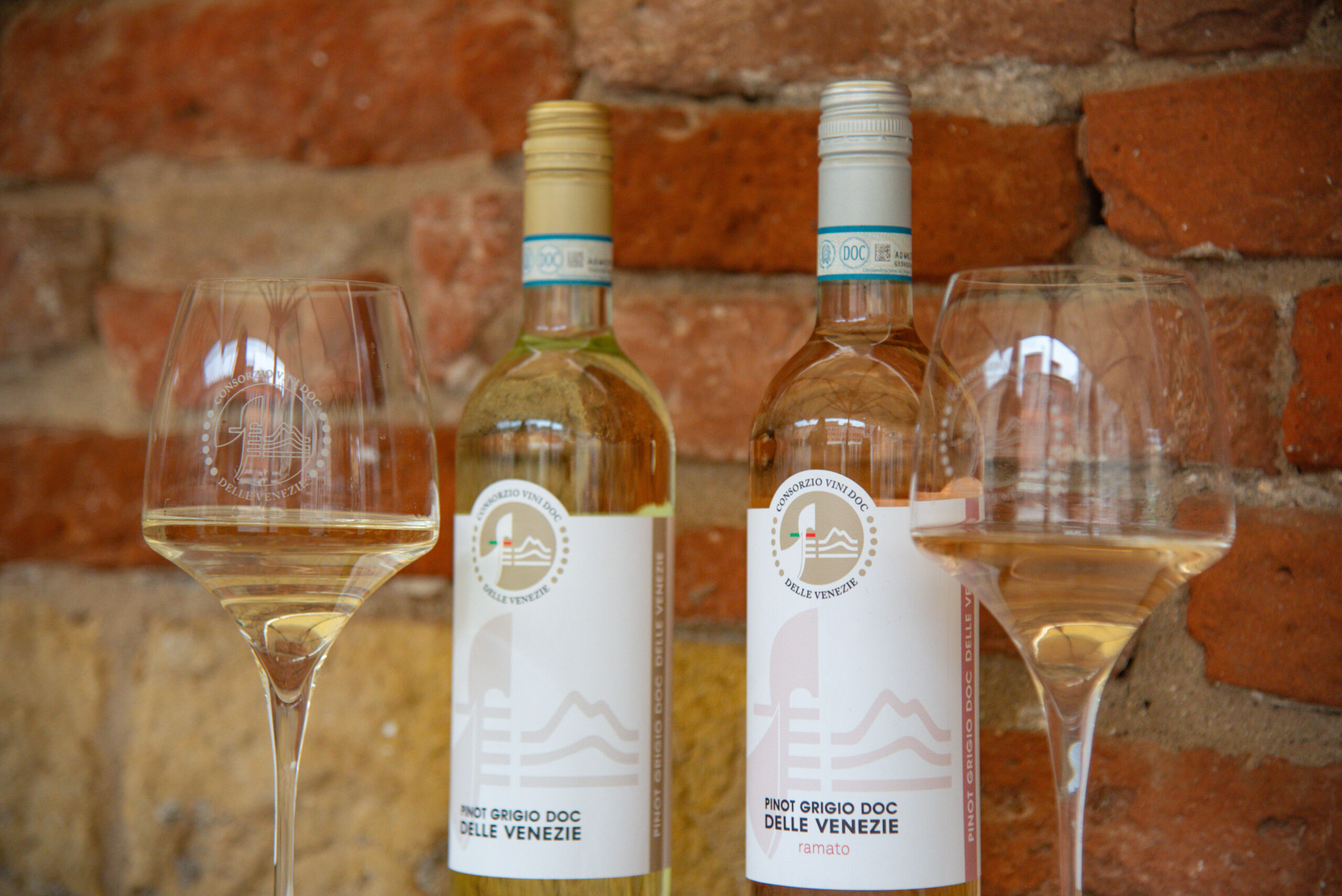 BILANCIO 2025 DOC DELLE VENEZIE: STABILITÀ, GOVERNANCE E VISIONE CONDIVISA PER IL PINOT GRIGIO DEL TRIVENETO