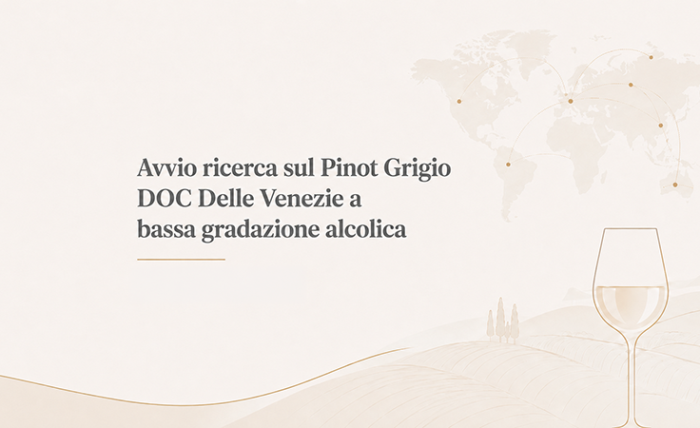Avvio ricerca sul Pinot Grigio DOC Delle Venezie a bassa gradazione alcolica