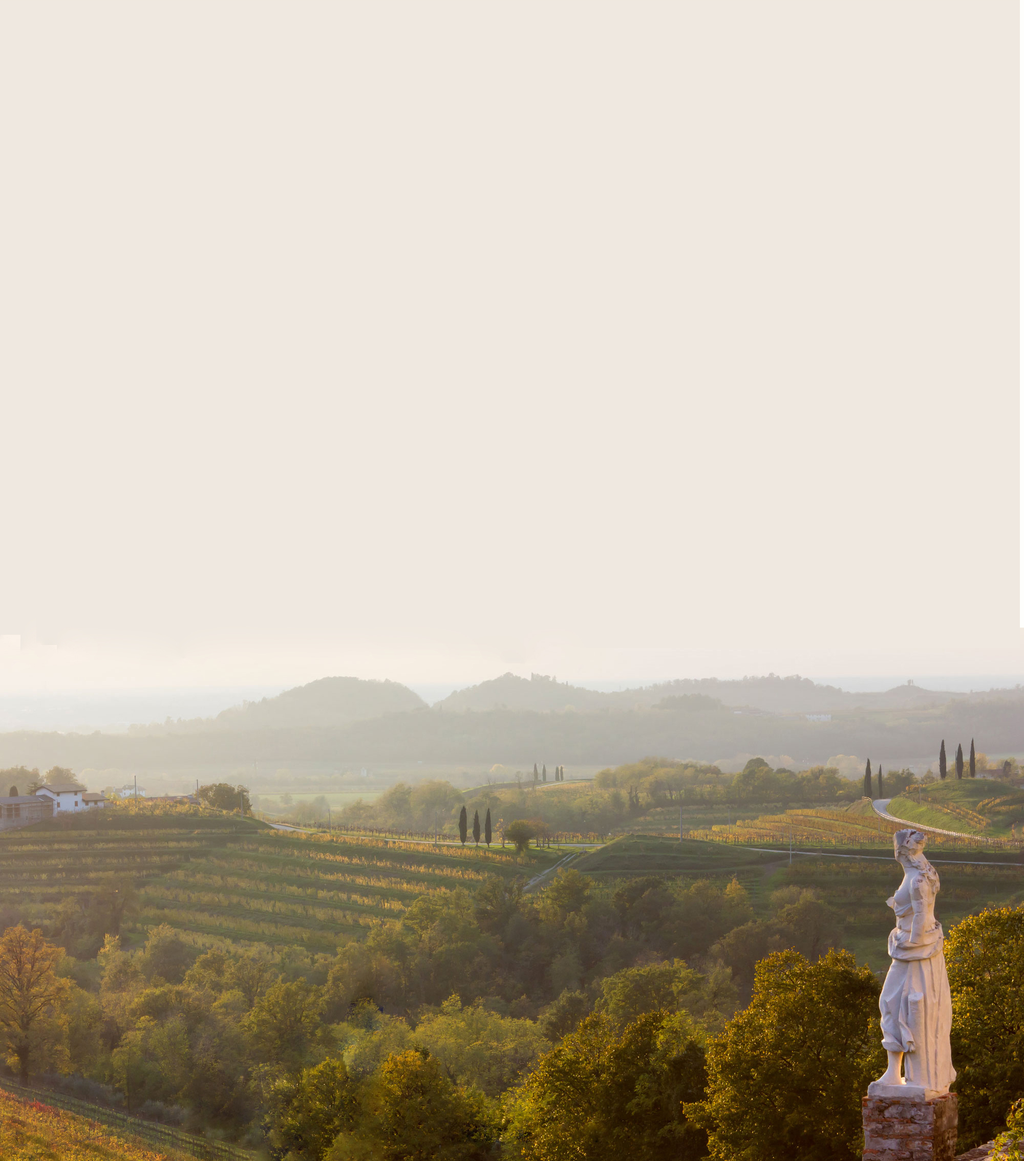 Pinot Grigio DOC delel Venezie - Vigneti in Friuli Venezie Giulia