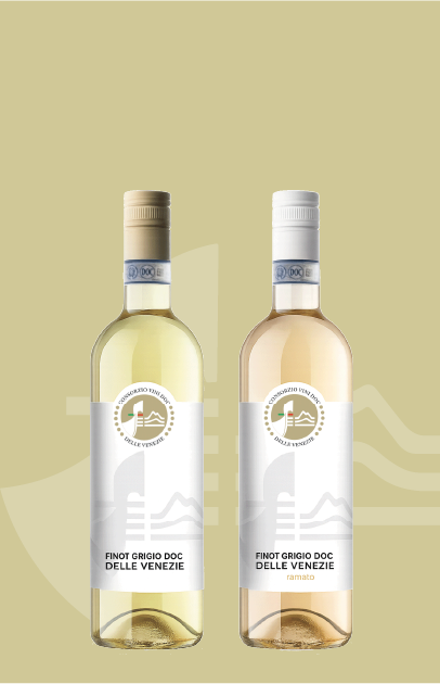 Pinot Grigio DOC delle Venezie - Bottiglie consorzio