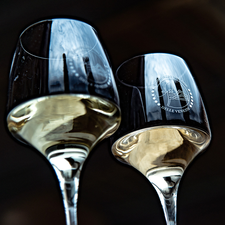 Pinot Grigio DOC delle Venezie - calici