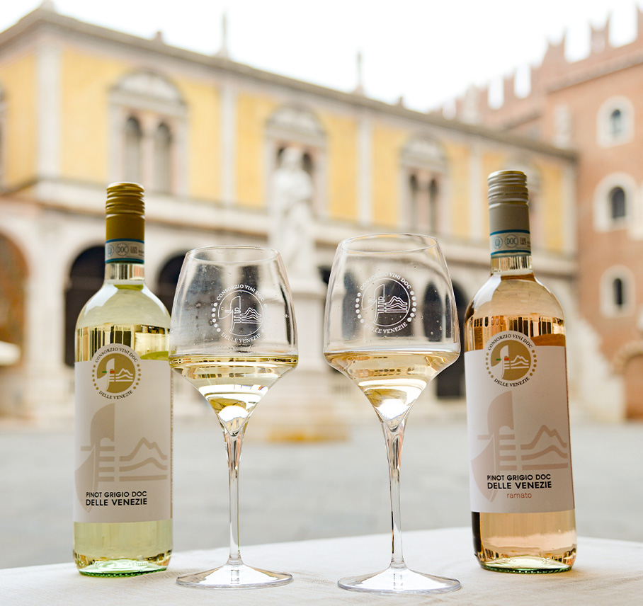 Pinot grigio DOC delle Venezie - Foto a Verona