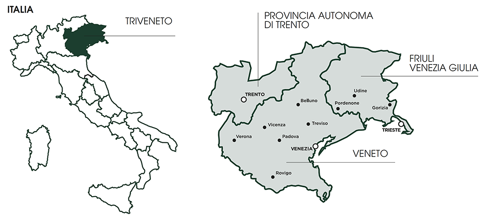 Pinot grigio DOC delle venezie -Mappa Italia e triveneto