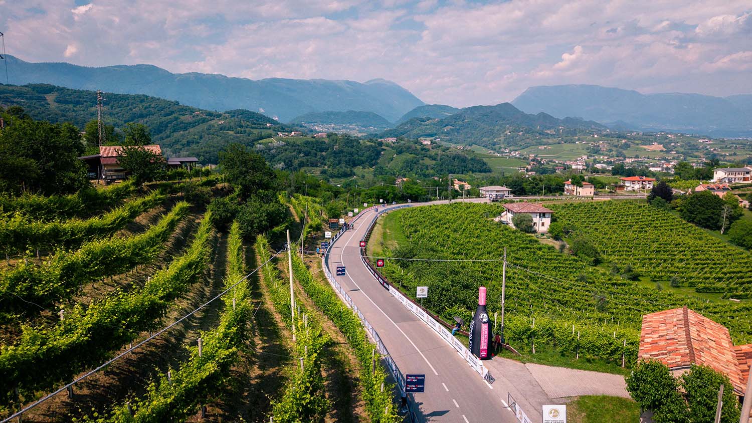 Giro Italia 2026 - bottiglia e vigneti panorama - Pinot grigio DOC delle venezie