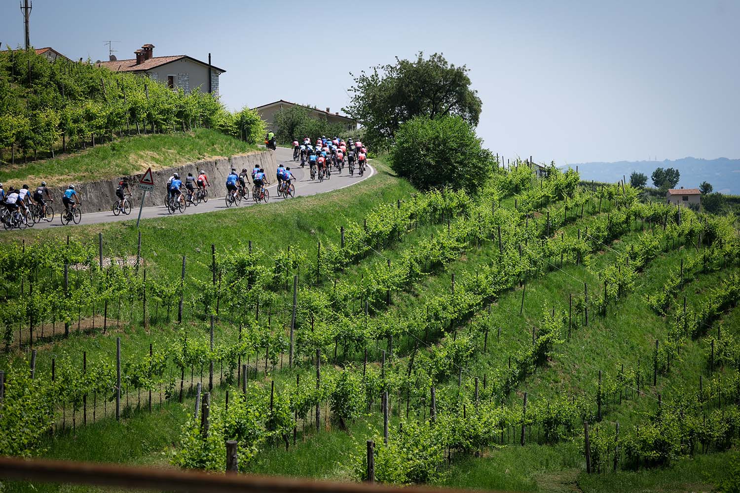 Giro Italia 2026 - ciclisti e vigneti panorama - Pinot grigio DOC delle venezie