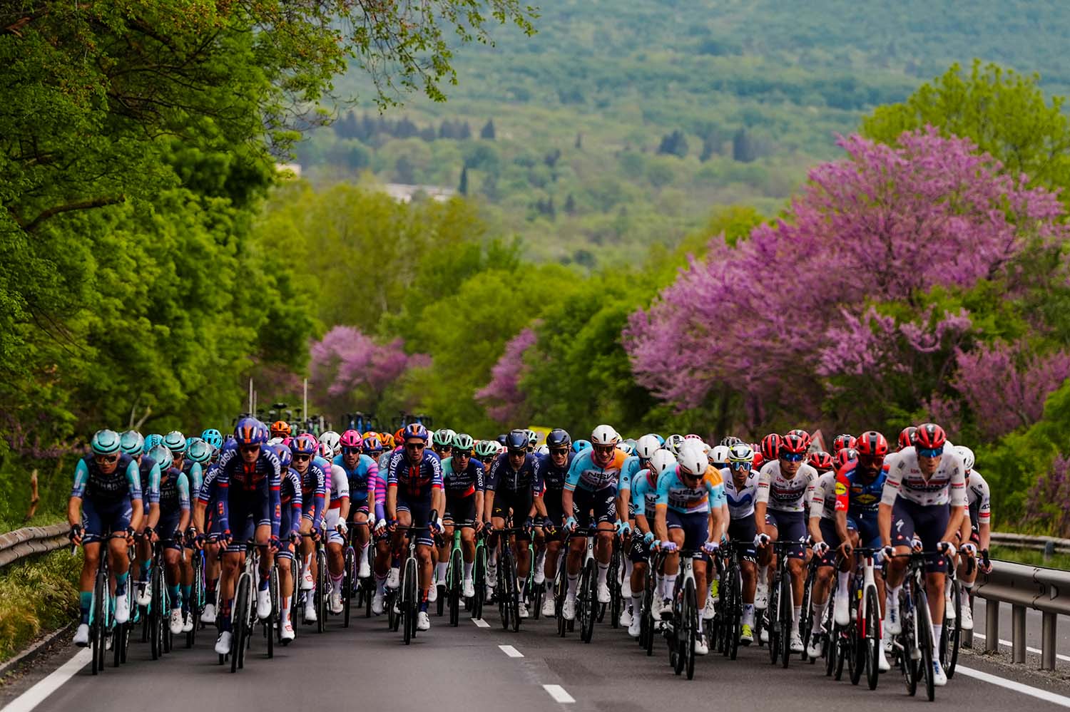 Giro Italia 2026 - ciclisti gruppo salita - Pinot grigio DOC delle venezie