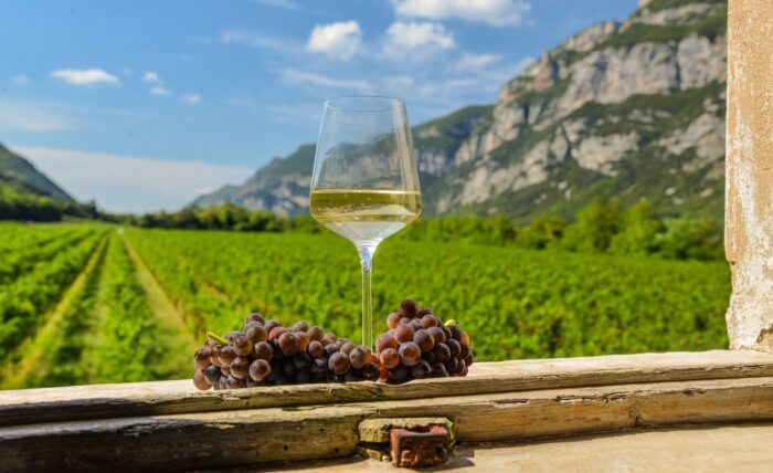 PINOT GRIGIO DOC DELLE VENEZIE: LA DENOMINAZIONE RAFFORZA LE MISURE A TUTELA DEL VALORE PER LA VENDEMMIA 2026